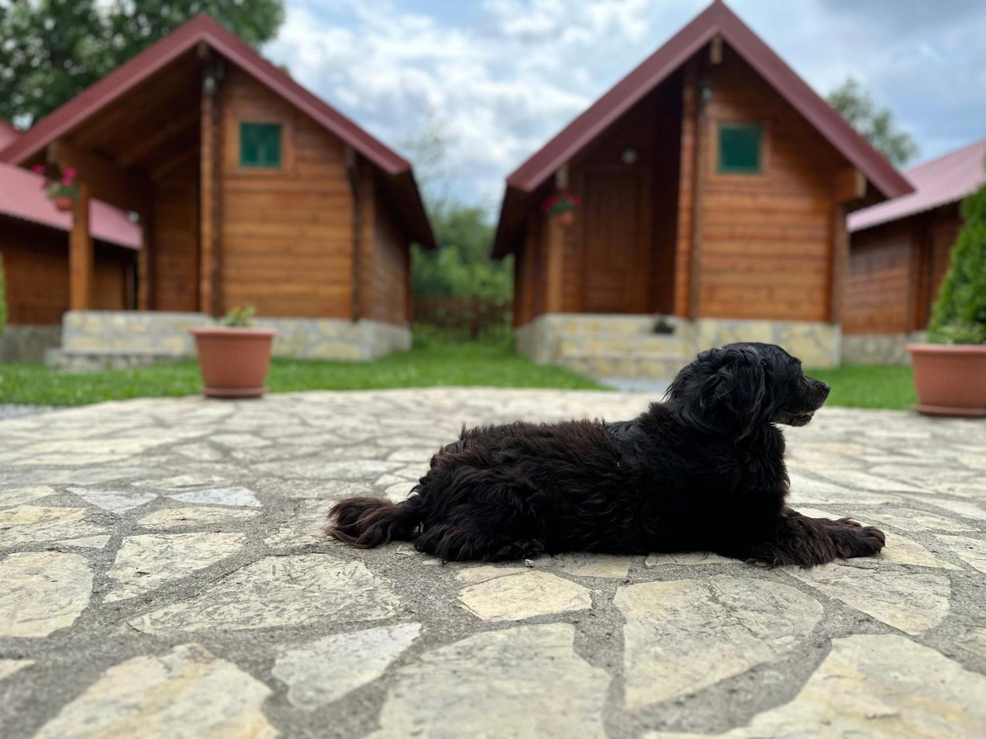 Tara Valley Eco Lounge Mojkovac Eksteriør bilde